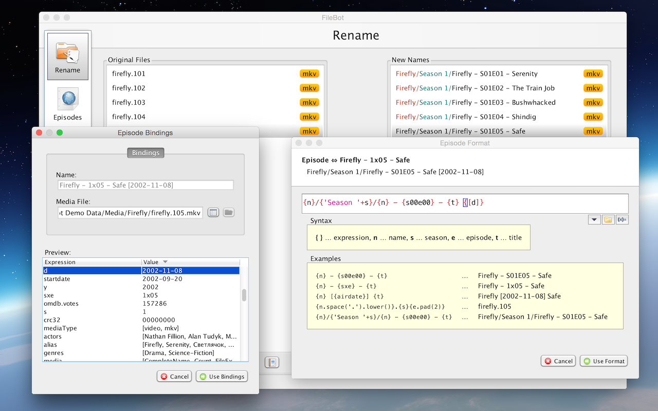 FileBot for Linux 5.1.3 full
